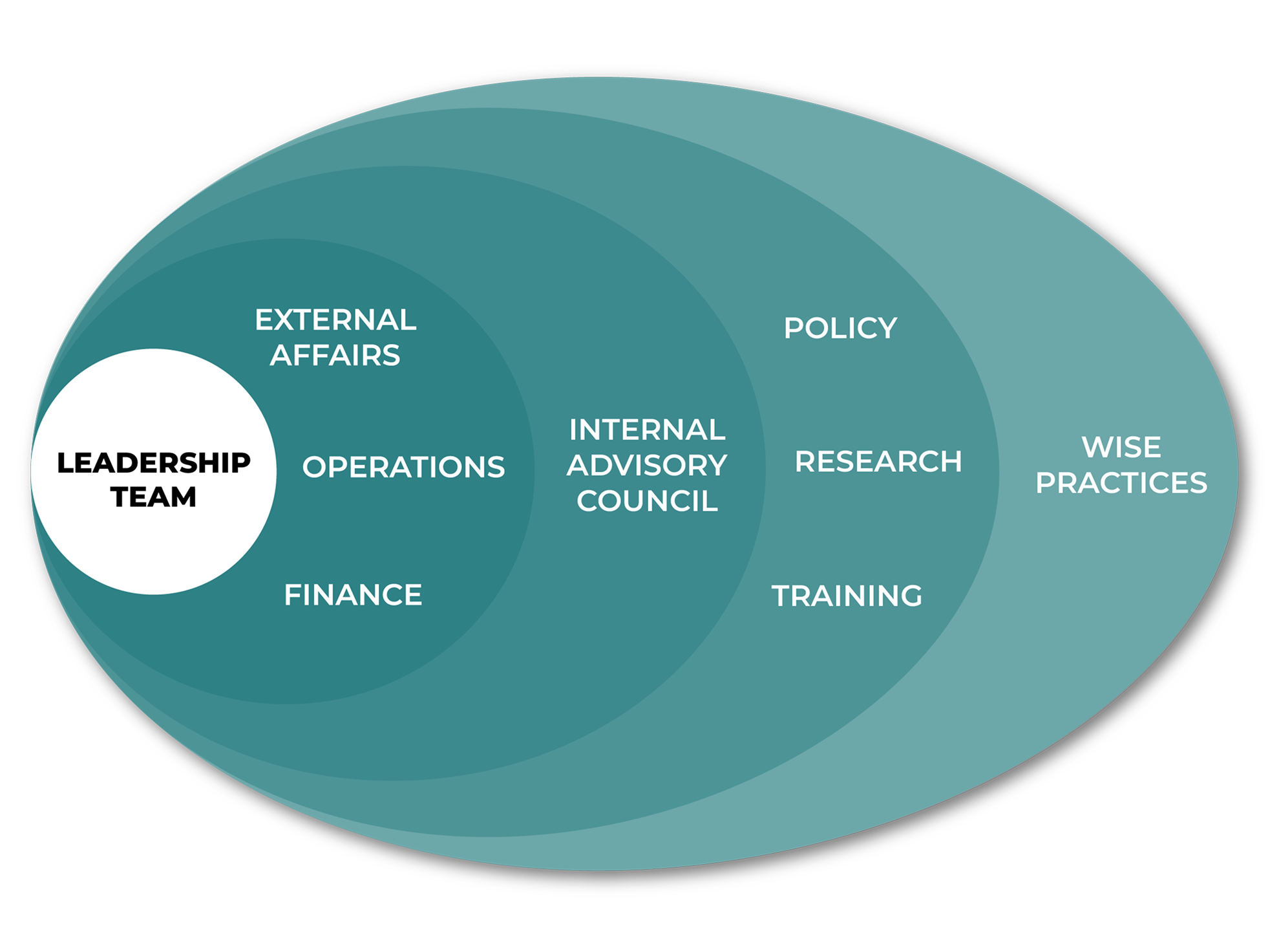 Venn diagram with overlapping ovals displaying "Leadership Team," "Operations," "Internal Advisory Council," and related topics like "Policy" and "Training."
