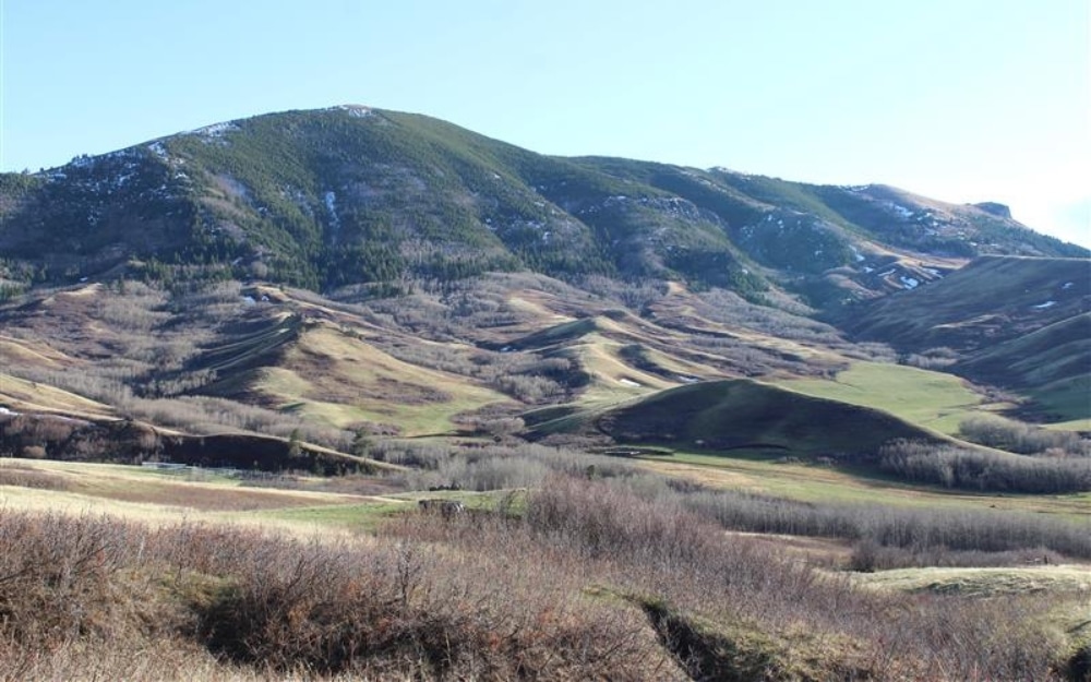 Bears Paw Mountains in Montana.