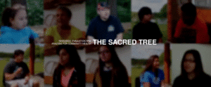 Screenshot of "Sacred Tree Video."