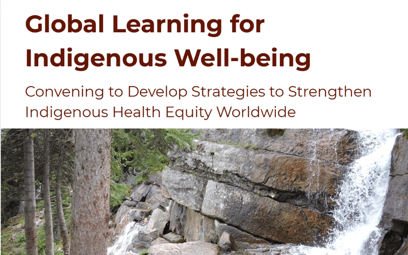 waterfall in wooded area.